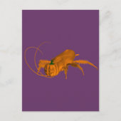 Orange Cockroach Postkarte (Vorderseite)