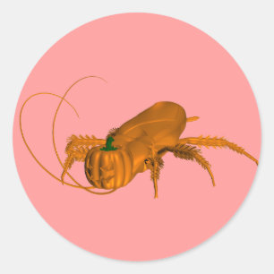 Orange Cockroach Runder Aufkleber