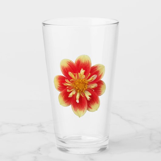 Orange Collarette Dahlia Bloom Floral Glas (Vorderseite)
