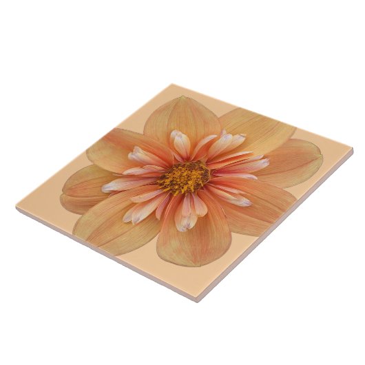 Orange Collarette Dahlia Floral Fliese (Seite)