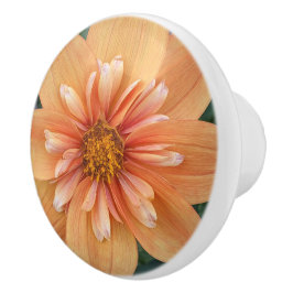Orange Collarette Dahlia Floral Keramikknauf