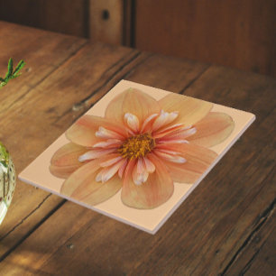Orange Collarette Dahlie Blumen Fliese