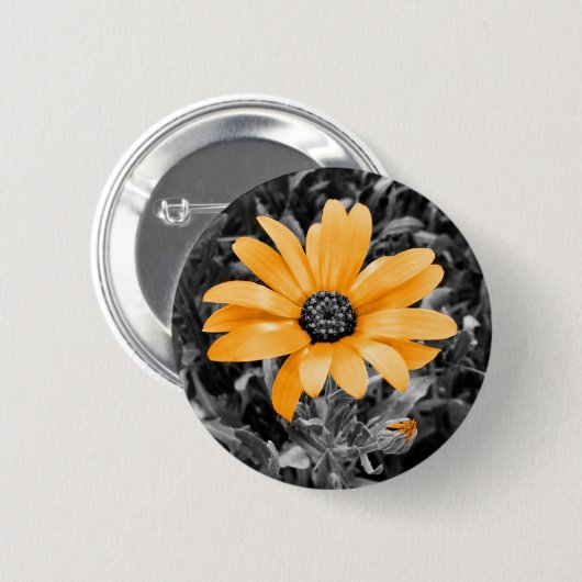 Orange Color Splash African Daisy Fotografie Button (Vorne & Hinten)