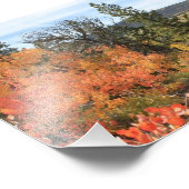 Orange Colorado Aspen Fotodruck (Ecke)