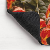 Orange Columnea Gloriosa Goldfish-Pflanzen-Blumen Mousepad (Ecke)