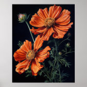 Orange Cosmos Blume Art Print Poster (Vorne)