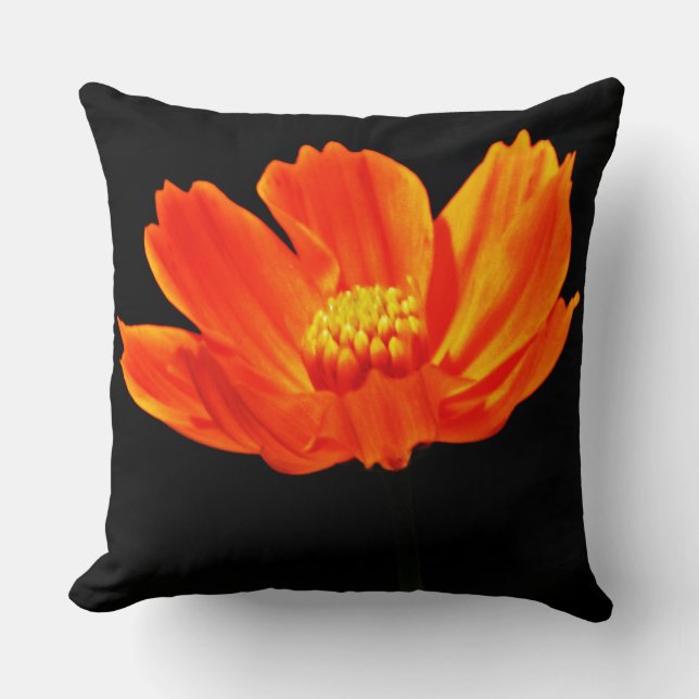 Orange Cosmos-Blume Kissen (Vorderseite)