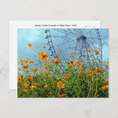 Orange Cosmos Blume & Riesenrad: Tokyo Postca Postkarte (Vorne/Hinten)