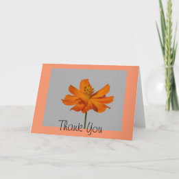 Orange Cosmos Vielen Dank Grußkarte Dankeskarte