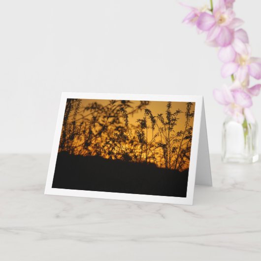 Orange Country Sunset Silhouette Landschaft Karte (Orchidee)