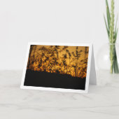 Orange Country Sunset Silhouette Landschaft Karte (Vorderseite)