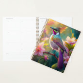 Orange Created Rainbow Jay Fantasy Bird Planer (Anzeige)