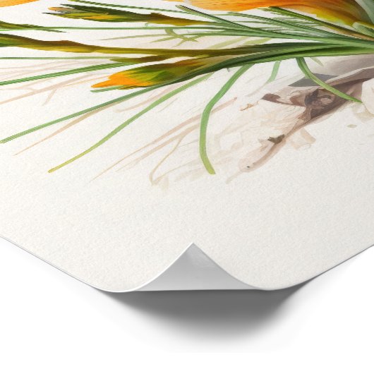 Orange Crocus Blume Art Print Poster (Ecke)