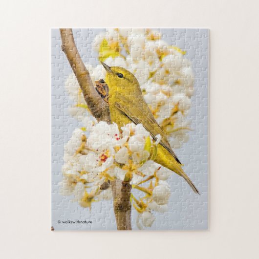 Orange-Crowned Warbler Amid the Cherry Blossoms Puzzle (Vertikal)