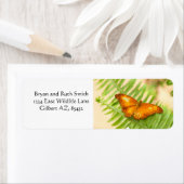 Orange Cruiser Butterfly (Insitu)