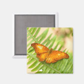 Orange Cruiser Butterfly Magnet (Vorderseite/Rückseite)