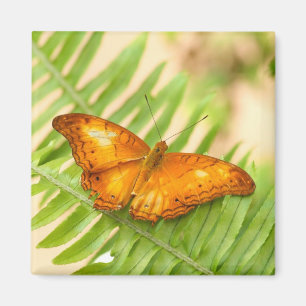 Orange Cruiser Butterfly Magnet