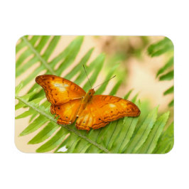 Orange Crusier Schmetterling Magnet