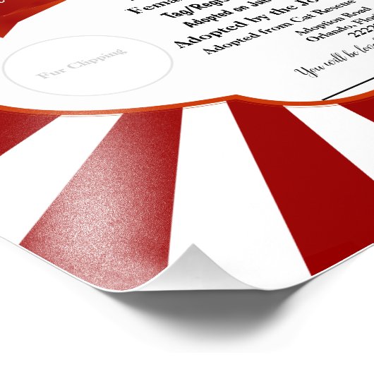 Orange Customizable Cat Adoption Certificate Fotodruck (Ecke)