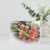 Orange Cymbidium Orchid Blume Postkarte (Stehend Vorderseite)