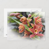 Orange Cymbidium Orchid Blume Postkarte (Vorne/Hinten)