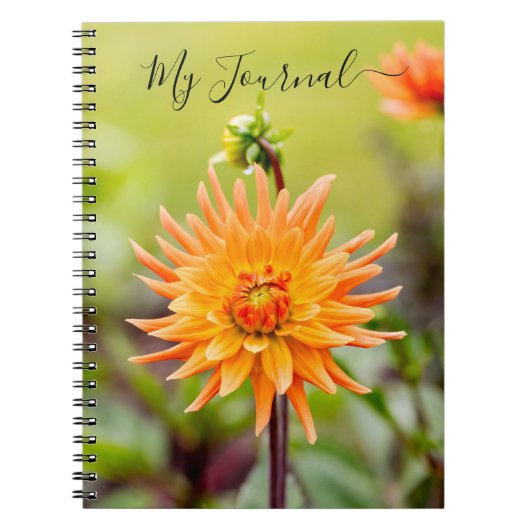 Orange Dahlia Journal Notebook Notizblock (Vorderseite)