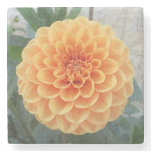 Orange Dahlia Marble Stone Untersetzer