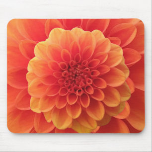 Orange Dahlia Mousepad