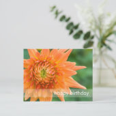 Orange Dahlia Postkarte (Stehend Vorderseite)