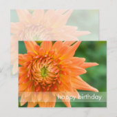 Orange Dahlia Postkarte (Vorne/Hinten)