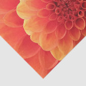 Orange Dahlia Seidenpapier (Ausschnitt)