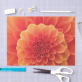 Orange Dahlia Seidenpapier (Handwerk)