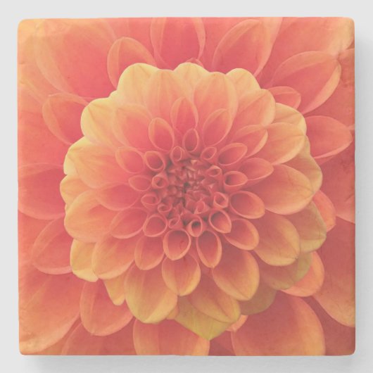 Orange Dahlia Steinuntersetzer (Vorderseite)