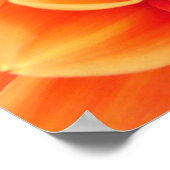 Orange Dahlia und Ladybug Poster (Ecke)