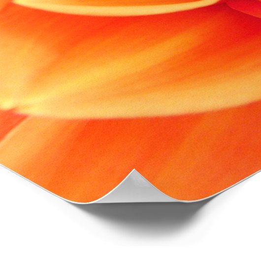 Orange Dahlia und Ladybug Poster (Ecke)