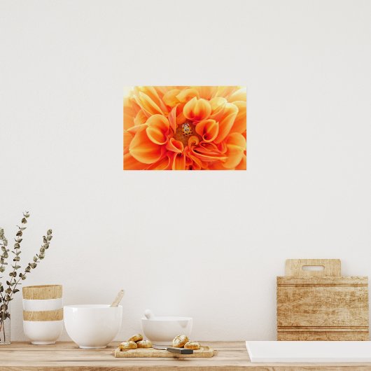 Orange Dahlia und Ladybug Poster (Küche)