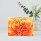 Orange Dahlia und Ladybug Postkarte (Stehend Vorderseite)