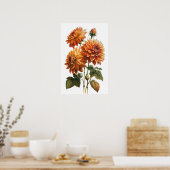 Orange Dahlias Blume Art Print Poster (Küche)