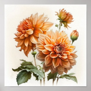 Orange Dahlias Blume Art Print Poster