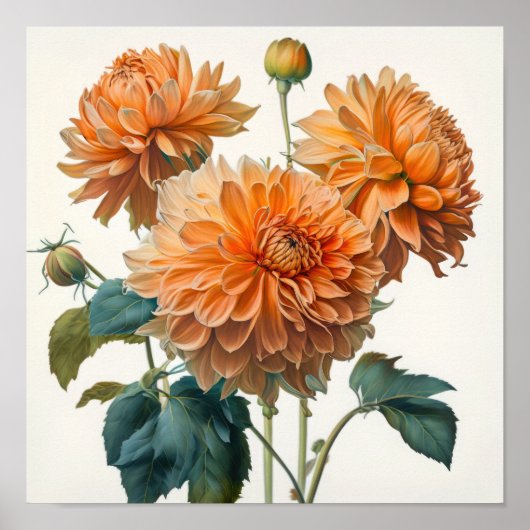 Orange Dahlias Blume Art Print Poster (Vorne)