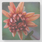 Orange Dahlie II Steinuntersetzer (Vorderseite)