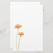 Orange Daisies Briefpapier (Vorne/Hinten)