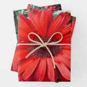 Orange Daisies Design Geschenkpapier Set (Beispiel)