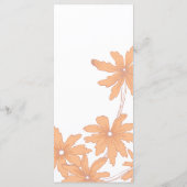 Orange Daisis auf dem Programm für White Wedding (Rückseite)