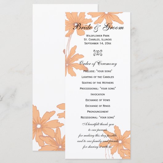 Orange Daisis auf dem Programm für White Wedding (Vorne/Hinten)