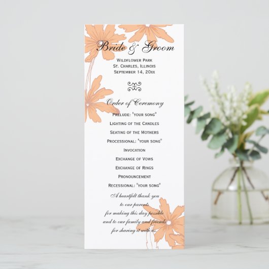 Orange Daisis auf dem Programm für White Wedding (Stehend Vorderseite)