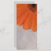 Orange Daisy and White Satin Wedding Program Programm (Vorne/Hinten)