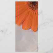 Orange Daisy and White Satin Wedding Program Programm (Vorderseite)