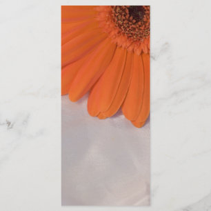 Orange Daisy and White Satin Wedding Program Programm