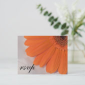 Orange Daisy and White Satin Wedding RSVP Card Karte (Stehend Vorderseite)